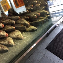 Fresh catch Fresh catch