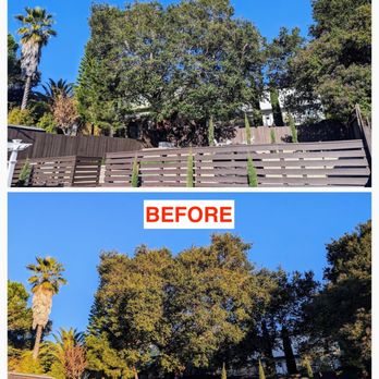 EC TREE SERVICE - Updated March 2025 - 125 Photos & 447 Reviews - 174 ...