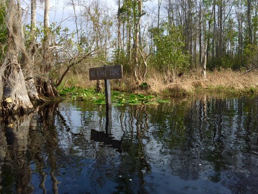 Stephen C Foster State Park by null