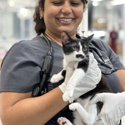 Western Veterinary Center