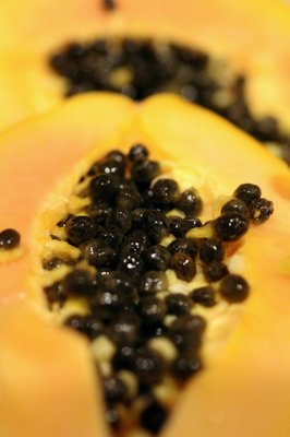 Melissa's / World Variety Produce by null