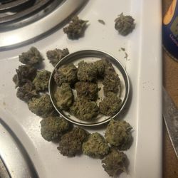 The Magic Mushroom - Marijauna. Supposed to be one kind but is two different strains.