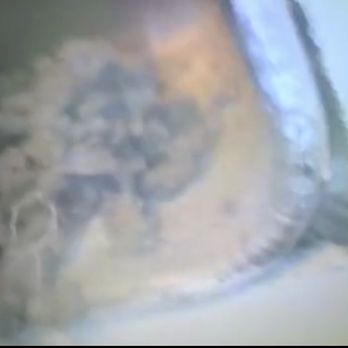 Vent Busters - So much lint! Snap grabbed from the video (can't upload videos to Yelp) - Air Duct Cleaning Near Me Vent Busters - So much lint! Snap grabbed from the video (can't upload videos to Yelp) - Air Duct Cleaning Near Me