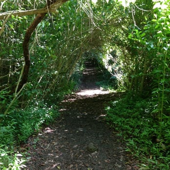 Makiki Valley Trail - Hiking Near Me - Honolulu, Hawaii Makiki Valley Trail - Hiking Near Me - Honolulu, Hawaii