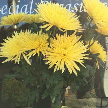 La Vie en Rose - Florists Near Me - Albany, California