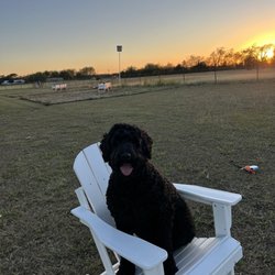 Breezy Acres Horse Farm - Beautiful Texas sunsets!