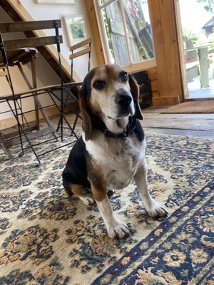 Apple Dave's Distillery by null