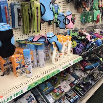 Dollar Tree - Discount Store Near Me - Frederick, Maryland Dollar Tree - Discount Store Near Me - Frederick, Maryland