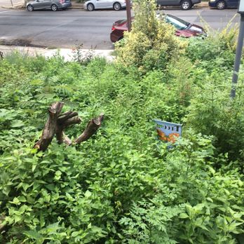 Flat Rate Labor - Before - Landscaping Near Me - Philadelphia, Pennsylvania