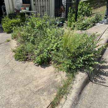Landscaping Teenager - The before.... - Lawn Services Near Me - Pflugerville, Texas Landscaping Teenager - The before.... - Lawn Services Near Me - Pflugerville, Texas