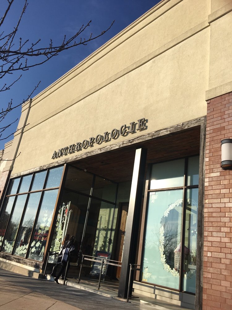 American Eagle Outfitters Logo