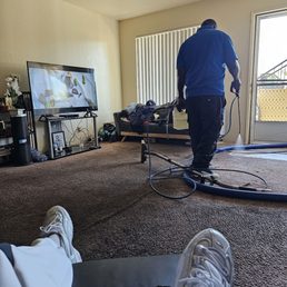 Best carpet cleaning service I've ever used.