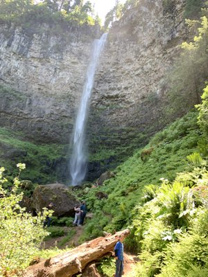 Watson Falls by null