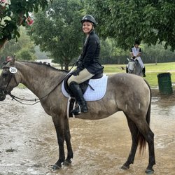 Texas Rose Horse Park