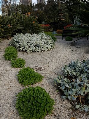 Fitzroy Gardens by null