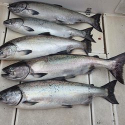 Catchmore Charters