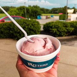 Ritters Frozen Custard - Blackberry