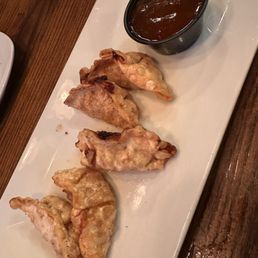 Fried chicken dumplings
