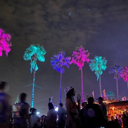 EDC Orlando - Electric palms