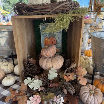 Classic Pumpkin Patch & Trees - The only "nice" pic I took, which was in the tent to pay bc the rest of the place was just lacking that fall vibe and no pumpkins! - Pumpkin Patches Near Me - Castro Valley, California Classic Pumpkin Patch & Trees - The only "nice" pic I took, which was in the tent to pay bc the rest of the place was just lacking that fall vibe and no pumpkins! - Pumpkin Patches Near Me - Castro Valley, California