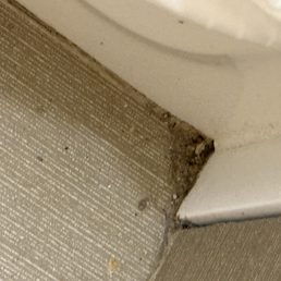Dirt In the corners of the bathroom