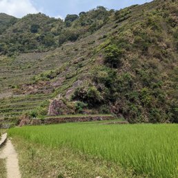 Batad - Parks Near Me - Banaue, IFU