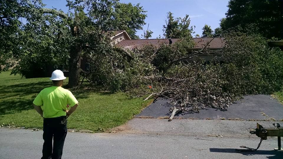 Blake's Quality Services - tree service in Knoxville, TN