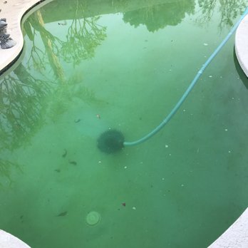 Roadrunner Pools - Pool Cleaners Near Me - La Quinta, California
