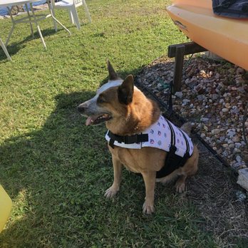 Periwinkle Environmental Boat Rentals - Take your pet for a paddle - Boating Near Me - Jensen Beach, Florida Periwinkle Environmental Boat Rentals - Take your pet for a paddle - Boating Near Me - Jensen Beach, Florida