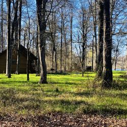 Leroy Percy State Park - "Cabin on Alligator Lake"