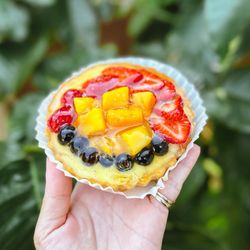 La Provence - Tarte Aux Fruits