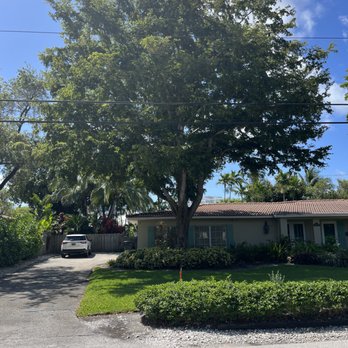 Mr X Tree Service - Tree Services Near Me Mr X Tree Service - Tree Services Near Me