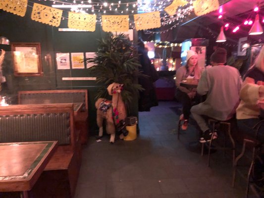 The Garret Cocteleria by null The Garret Cocteleria by null