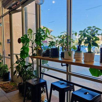 Monstera Boba Cafe - Bubble Tea Near Me - Tujunga, California Monstera Boba Cafe - Bubble Tea Near Me - Tujunga, California