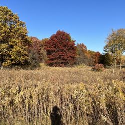 9 Acres - Trail at Cook County Forest Preserve
