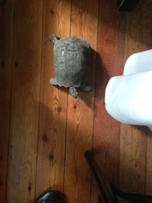 Ristorante la Brisa by null