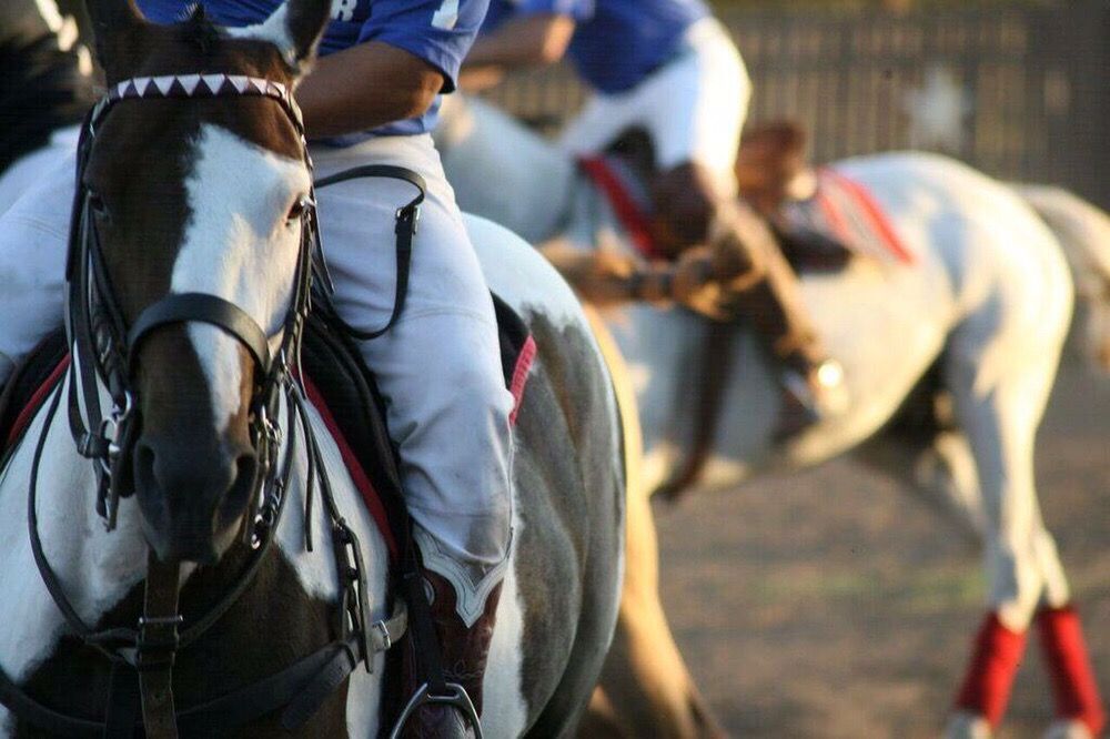 County Line Polo Club - equestrian in Kyle, TX