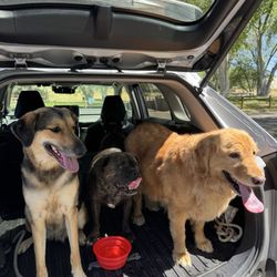 Granite Creek Park - Post walk water break