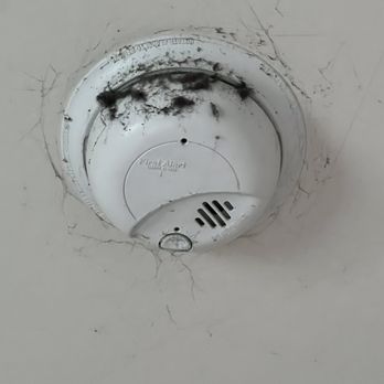 Beaufort Rentals - This was on every smoke detector and air vent. - Property Management Near Me - Beaufort, South Carolina Beaufort Rentals - This was on every smoke detector and air vent. - Property Management Near Me - Beaufort, South Carolina