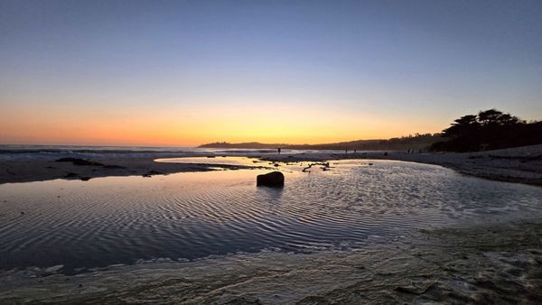 Carmel Beach by null