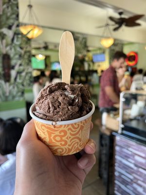 Lappert's Ice Cream by null