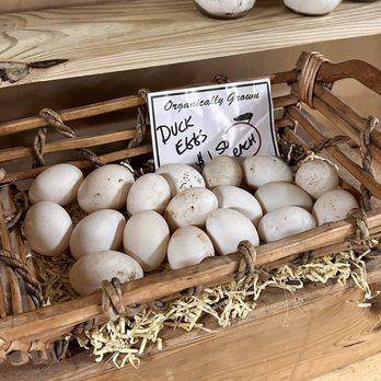 Marando Farms & Ranch - Farmers Market Near Me - Davie, Florida