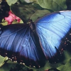 Academy of Natural Sciences
