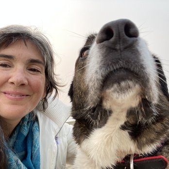 Holistic Veterinary Care - My Big Dog is the love of my life. - Veterinarians Near Me - Oakland, California Holistic Veterinary Care - My Big Dog is the love of my life. - Veterinarians Near Me - Oakland, California