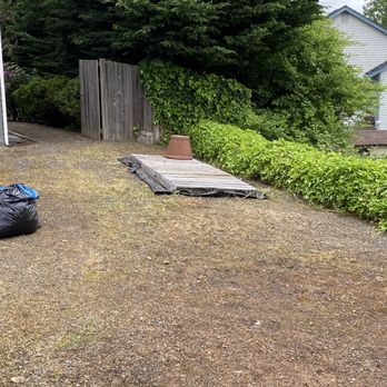 Junk206 - After - Junk Removal & Hauling Near Me