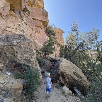 Mesa Verde National Park - Petroglyph point trail - Parks Near Me