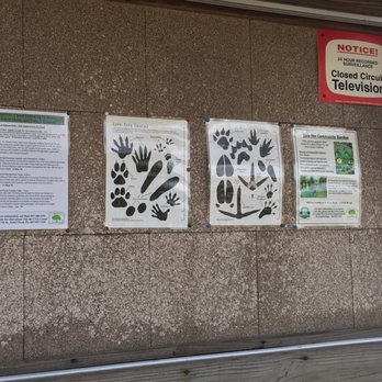 Peghorn Nature Park - Animal track guide - Hiking Near Me - St. Cloud, Florida Peghorn Nature Park - Animal track guide - Hiking Near Me - St. Cloud, Florida