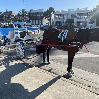 Old City Carriage - Historical Tours Near Me Old City Carriage - Historical Tours Near Me