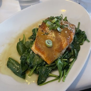 Ciao Bella - Salmon on the daily special - Italian Near Me - Bloomington, Minnesota Ciao Bella - Salmon on the daily special - Italian Near Me - Bloomington, Minnesota