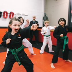 SDSS Martial Arts of Newton
